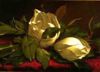 Martin Johnson Heade Magnolia hgh Norge oil painting art
